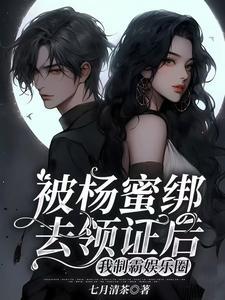 下乡的姐姐回来了作者清澜皓月