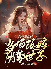 上门龙婿叶辰完整版