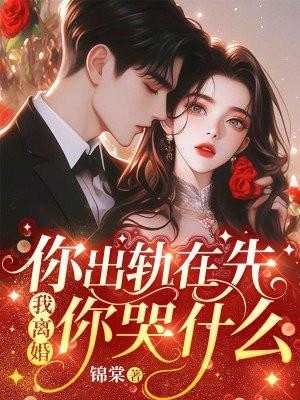 下乡的姐姐回来了 作者清澜皓月