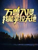 秦辰王海